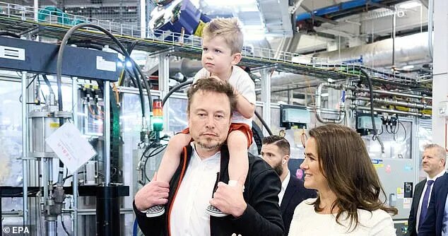 Elon Musk ex Grimes sues him over parental rights of their 3 children weeks after she begged him to let her see their toddler son