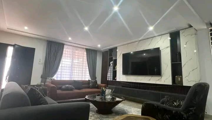 Executive Newly Built Fully Furnished House For Sale