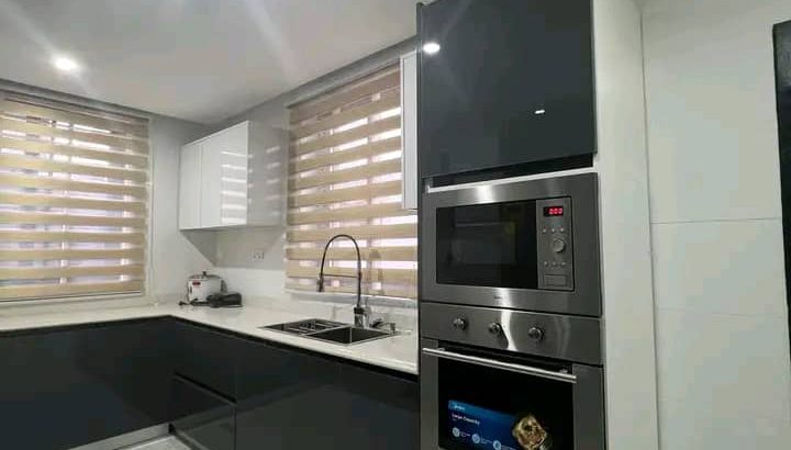 Executive Newly Built Fully Furnished House For Sale