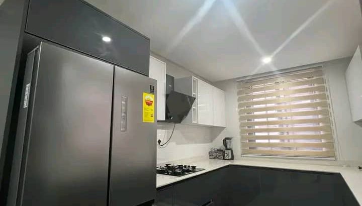 Executive Newly Built Fully Furnished House For Sale