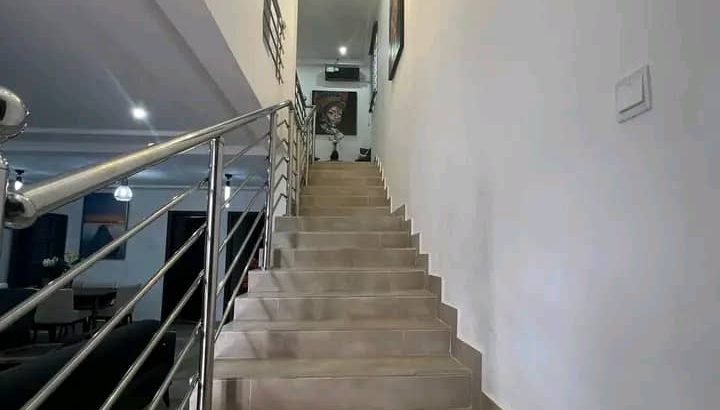 Executive Newly Built Fully Furnished House For Sale